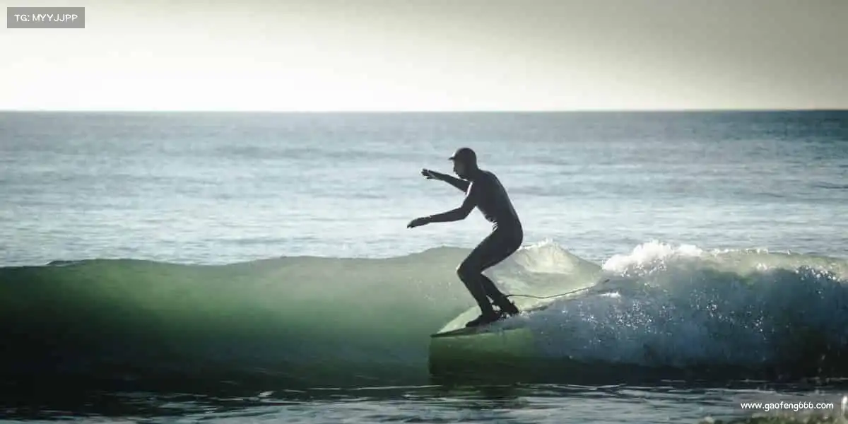 为什么选择我们